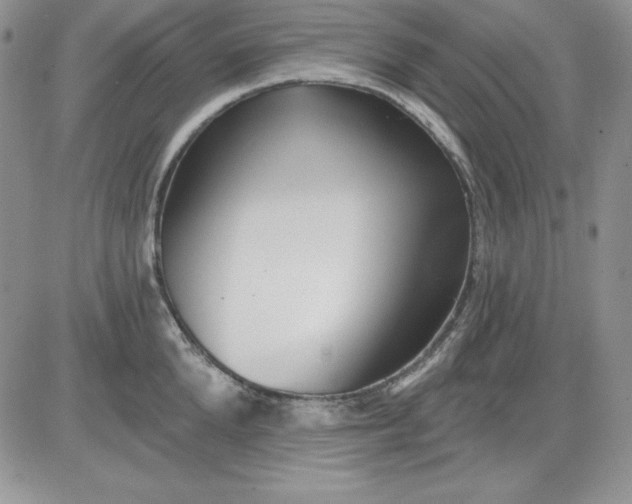 X0000081420904200701261551