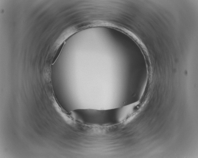 X0000081420905200701261551