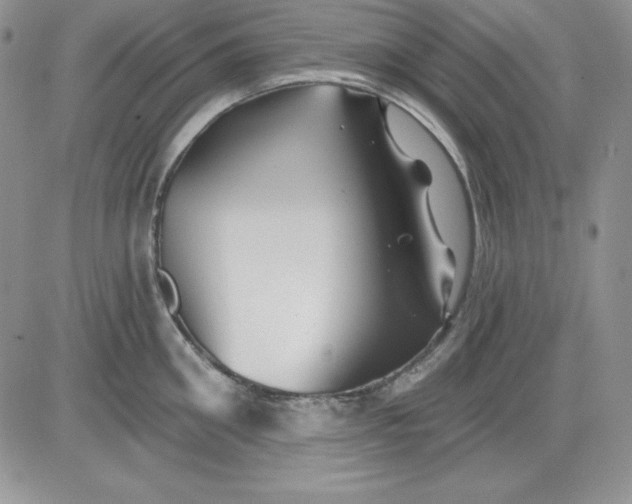 X0000081420906200701261551