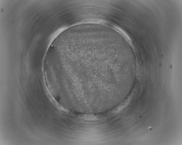 X0000081420907200701261551