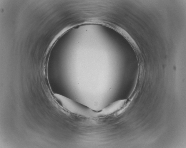 X0000081420908200701261551