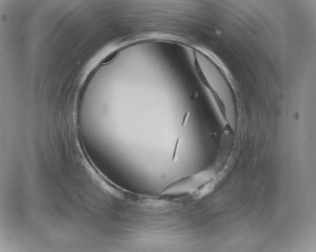 X0000081420910200701261550