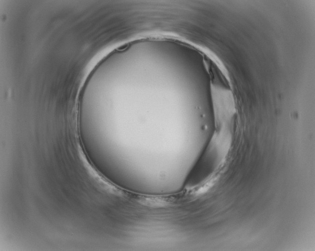 X0000081420911200701261550