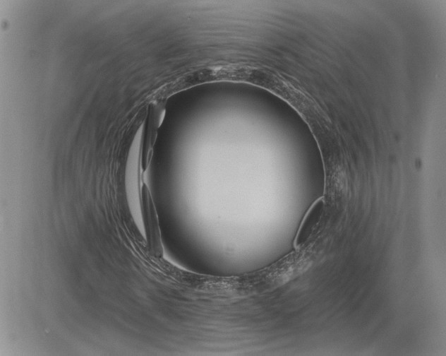 X0000081420914200701261550