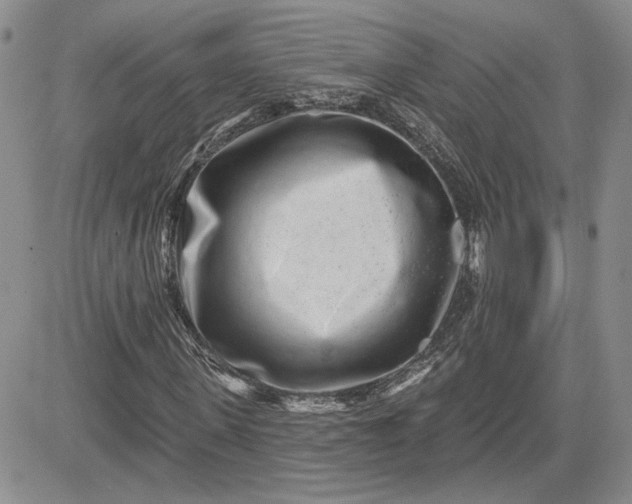 X0000081420915200701261550