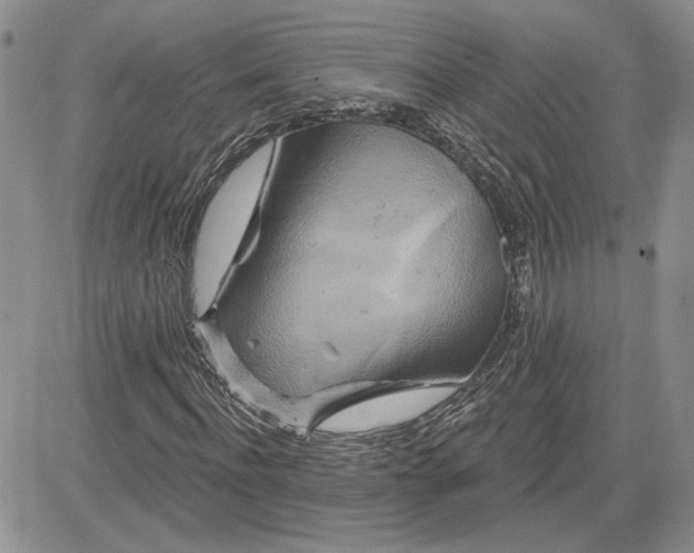 X0000081420916200701261550