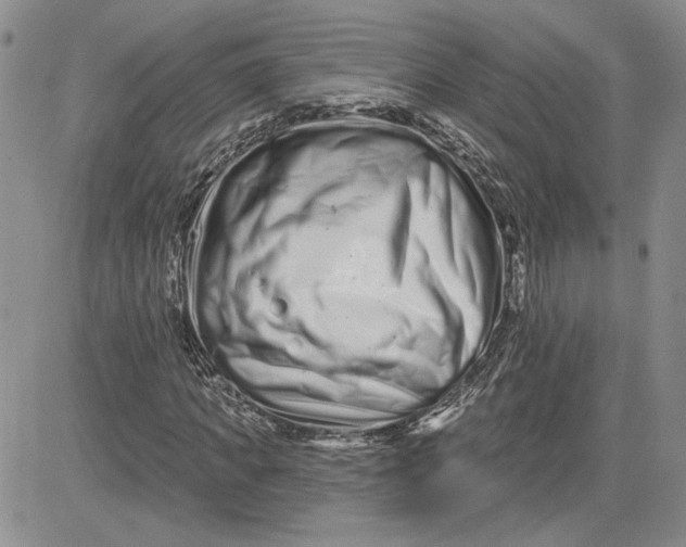 X0000081420917200701261550