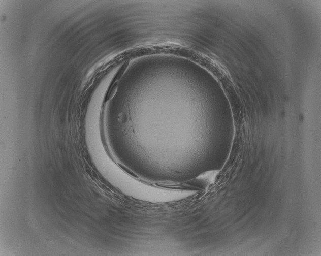 X0000081420920200701261550