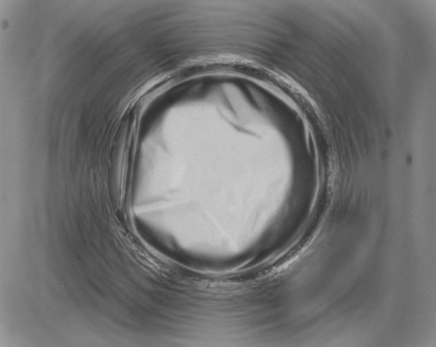 X0000081420921200701261550