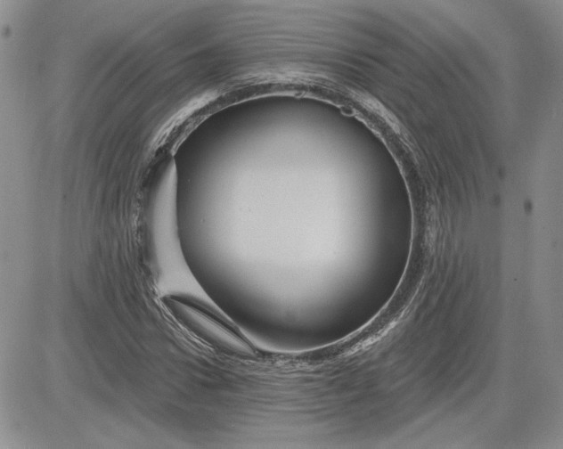 X0000081420922200701261550