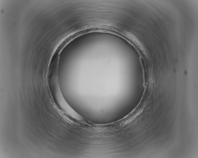 X0000081420924200701261550