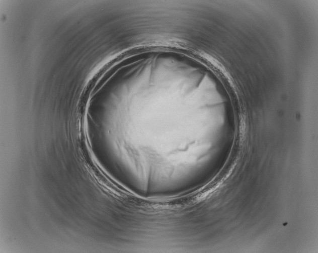 X0000081420925200701261550