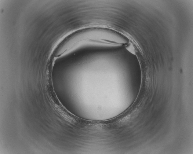 X0000081420926200701261550