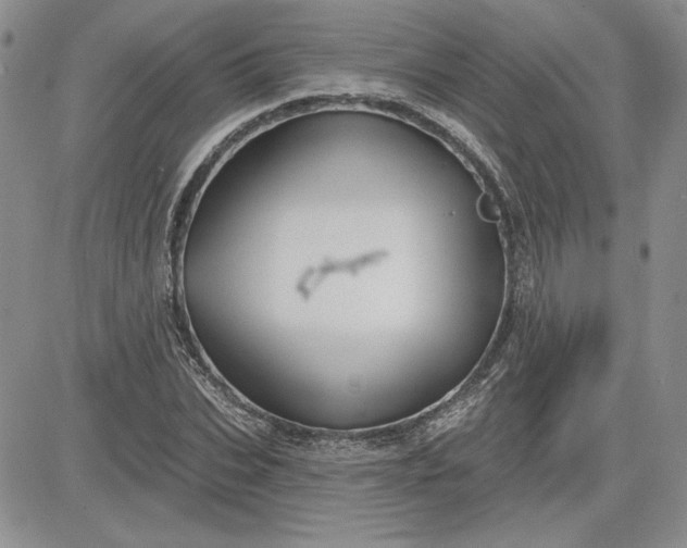 X0000081420927200701261550