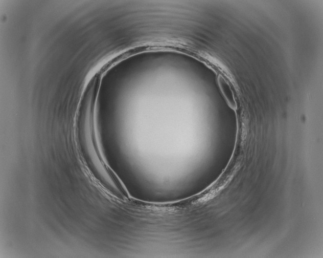 X0000081420928200701261550