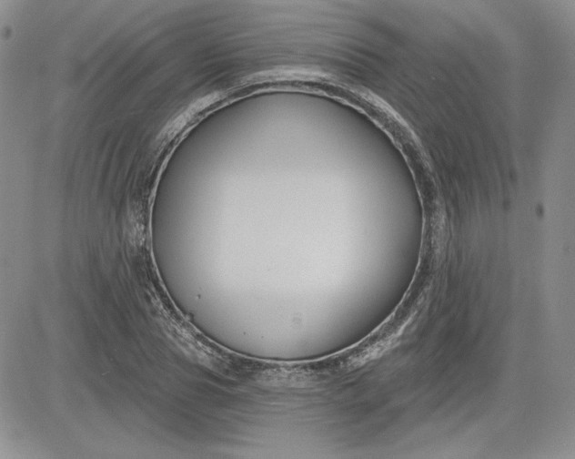 X0000081420929200701261550