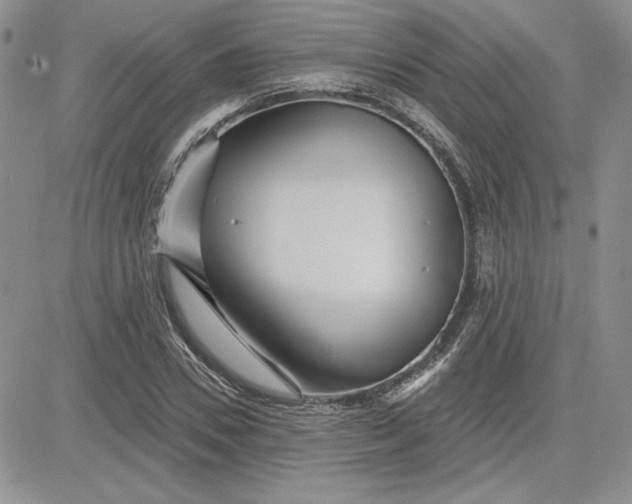 X0000081420930200701261550