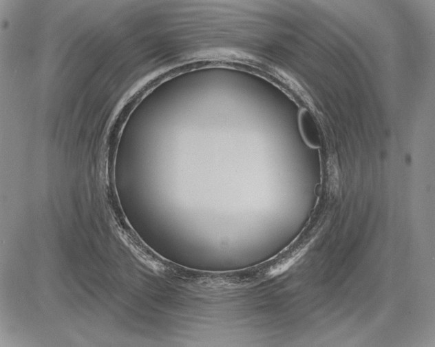 X0000081420931200701261550