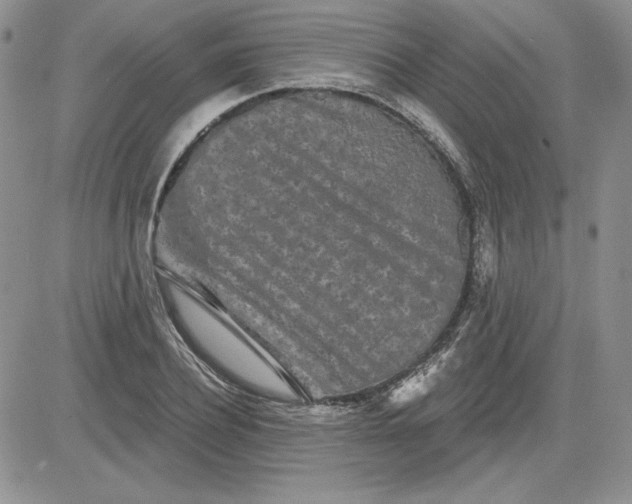 X0000081420932200701261550