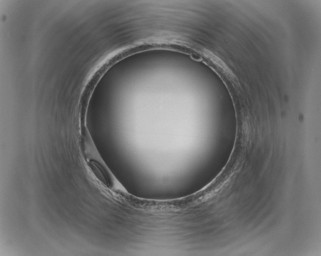 X0000081420934200701261550