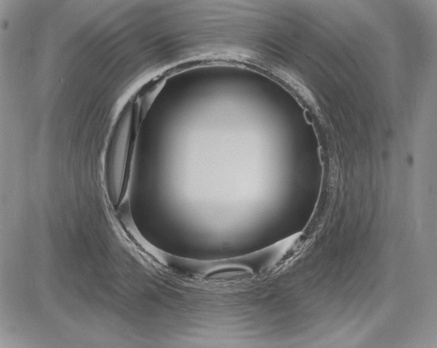 X0000081420936200701261550