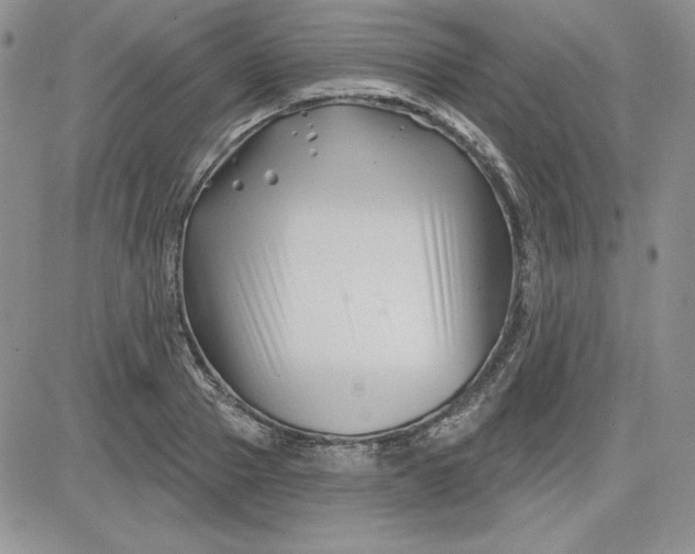 X0000081420937200701261550