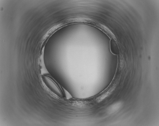 X0000081420938200701261550