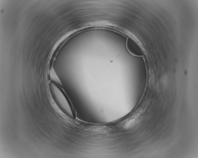 X0000081420939200701261550