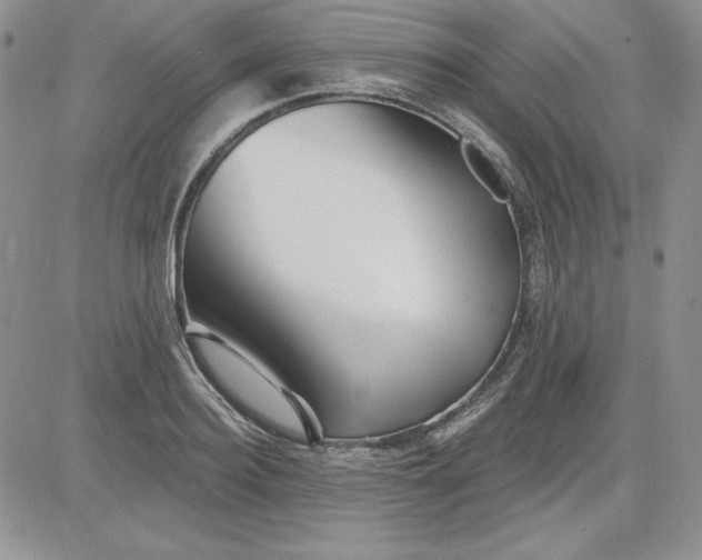 X0000081420940200701261550