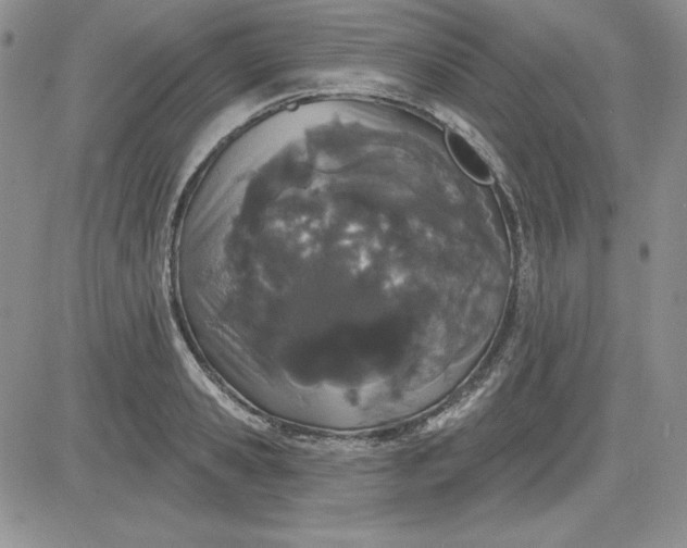 X0000081420941200701261550