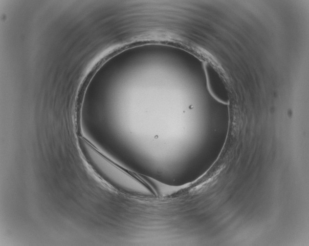 X0000081420942200701261550