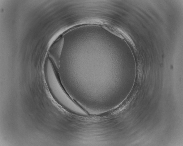 X0000081420944200701261550