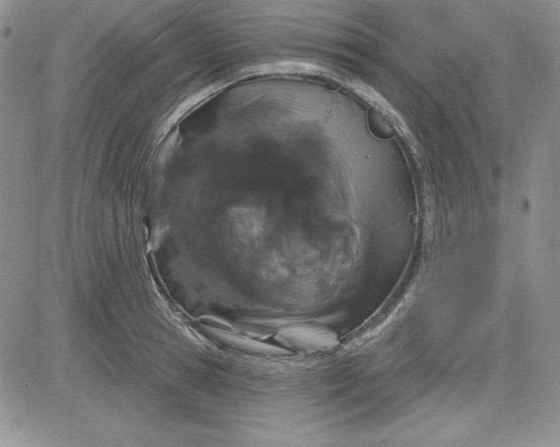 X0000081420945200701261550