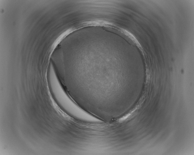 X0000081420946200701261550