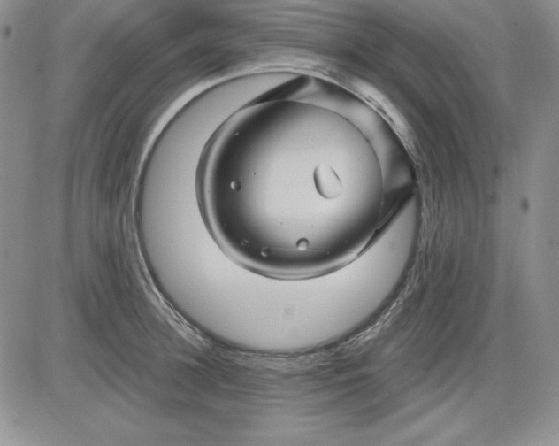 X0000081420948200701261550