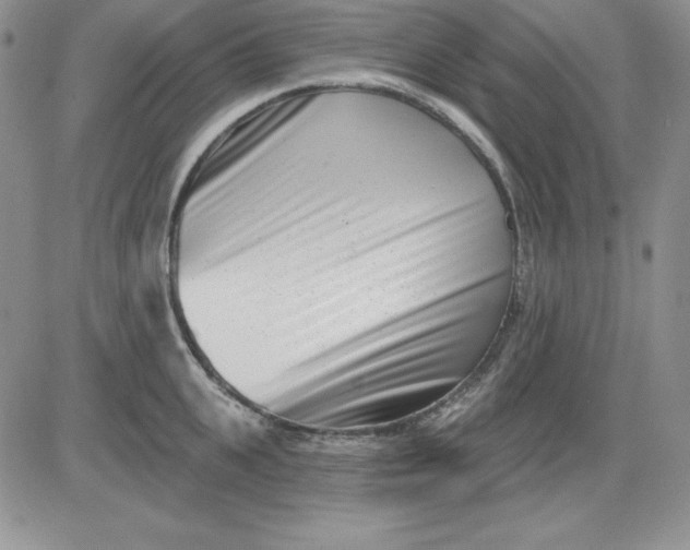 X0000081420951200701261550