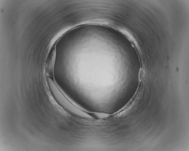 X0000081420952200701261550