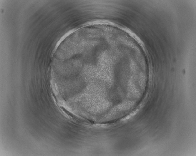 X0000081420953200701261550