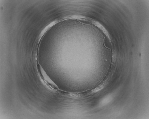 X0000081420954200701261550