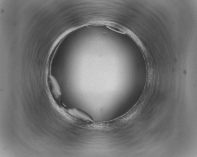 X0000081420955200701261550