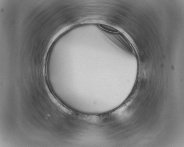 X0000081420957200701261550