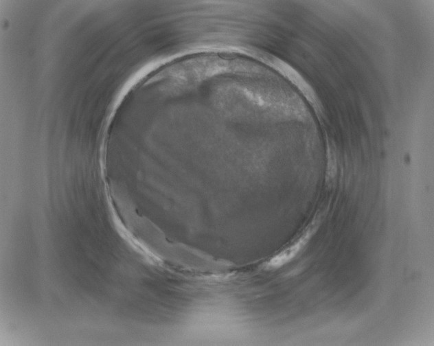 X0000081420958200701261550