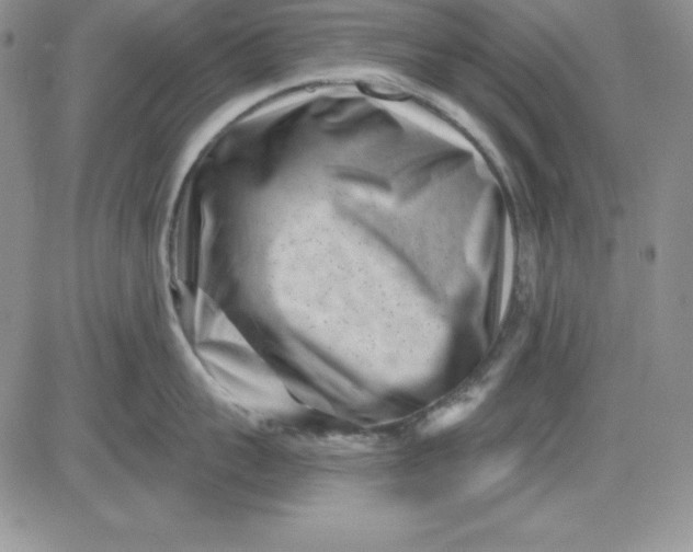 X0000081420959200701261550