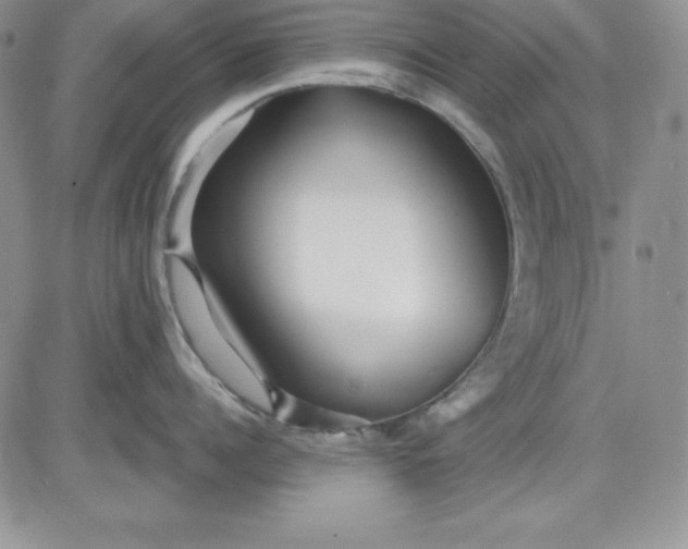 X0000081420960200701261550