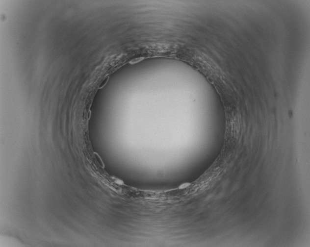 X0000081420961200701261550