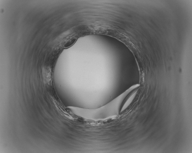 X0000081420963200701261550