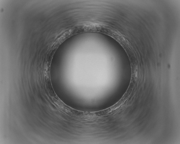 X0000081420964200701261550