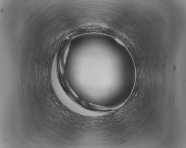 X0000081420965200701261550