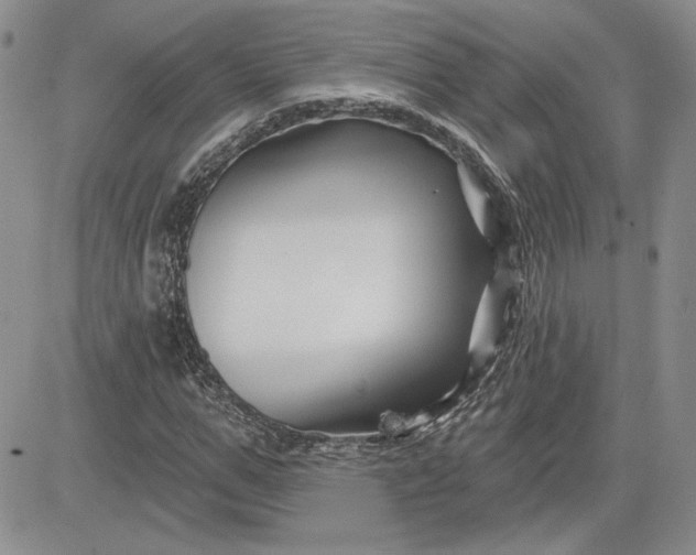 X0000081420967200701261550