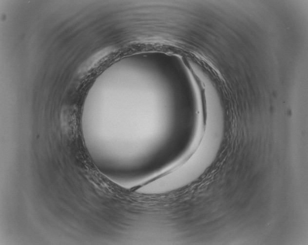 X0000081420968200701261550